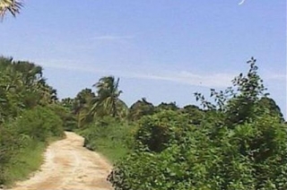  Spaziergang in der Natur 